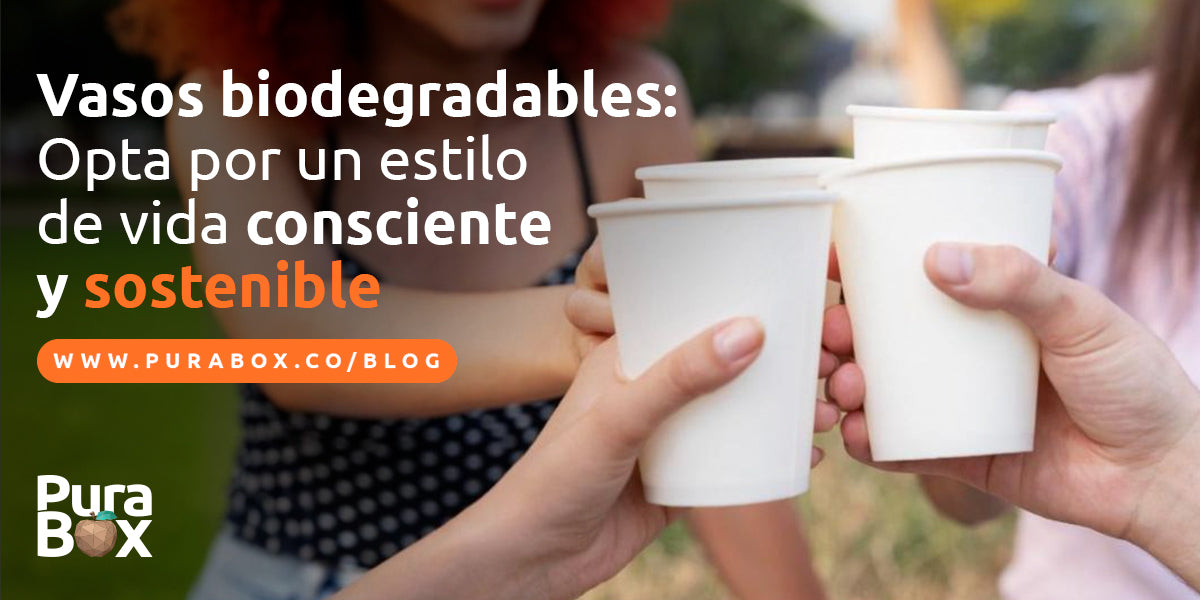 Vasos biodegradables: Una opción sostenible en tiempos de restricción de plásticos de un solo uso