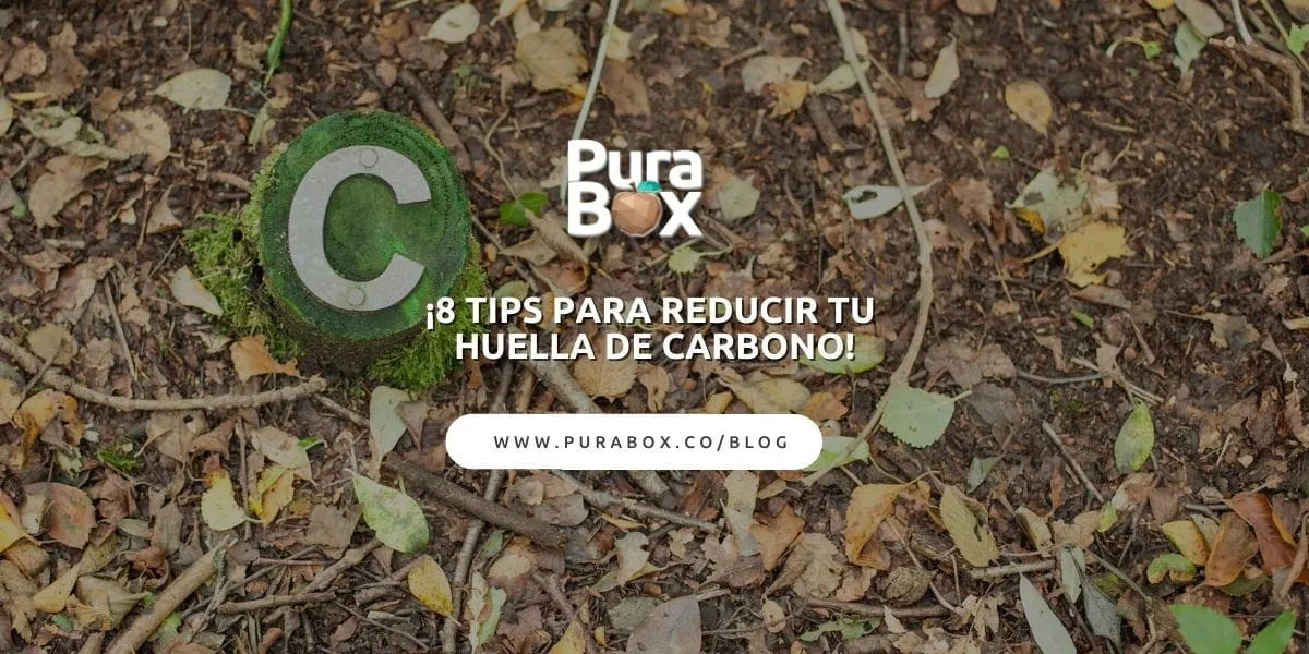 ¡8 Tips para reducir tu huella de carbono!