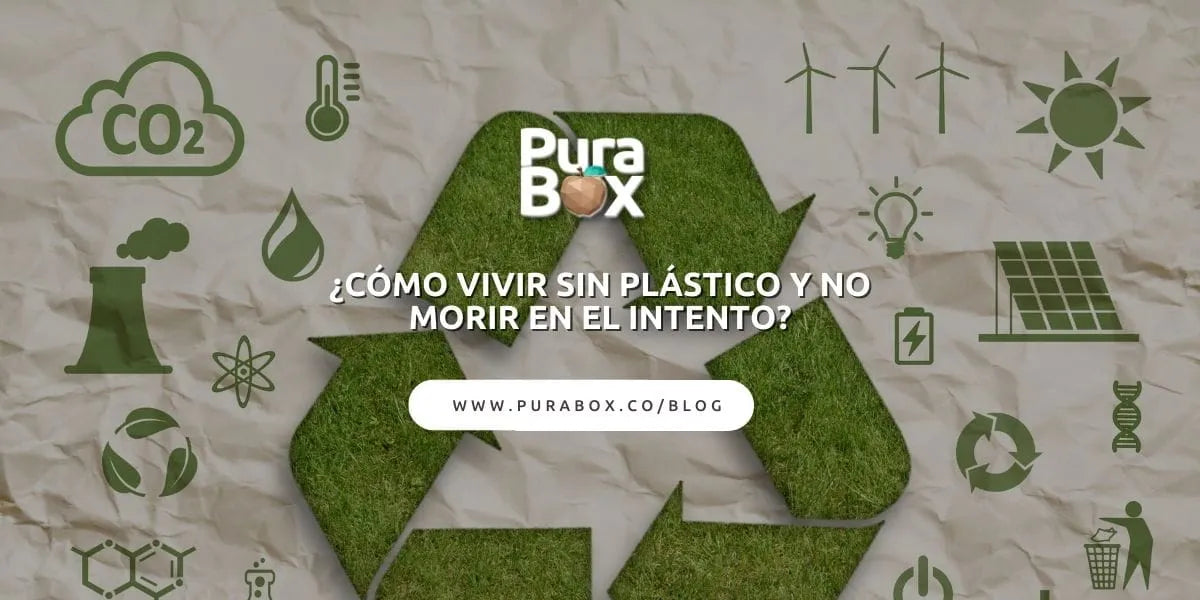 ¿Cómo vivir sin plástico y no morir en el intento?