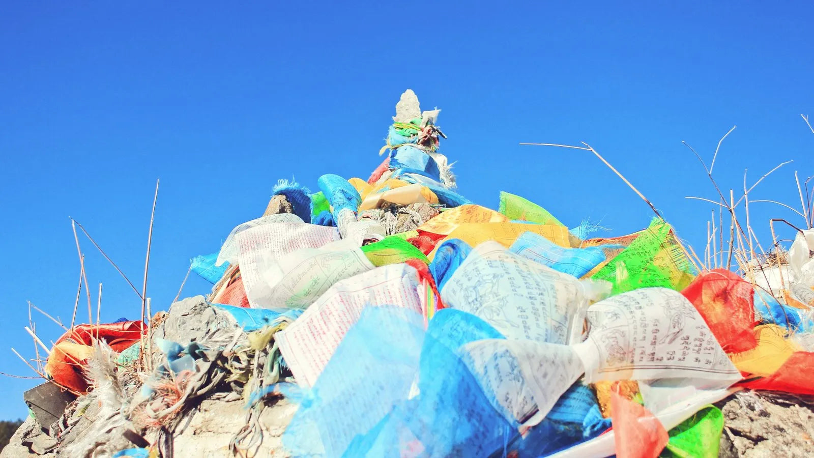 China da pasos gigantes hacia la eliminación de plásticos de un sólo uso
