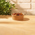 Bowl Kraft Domicilio 1.300 ml (44 oz) Importado