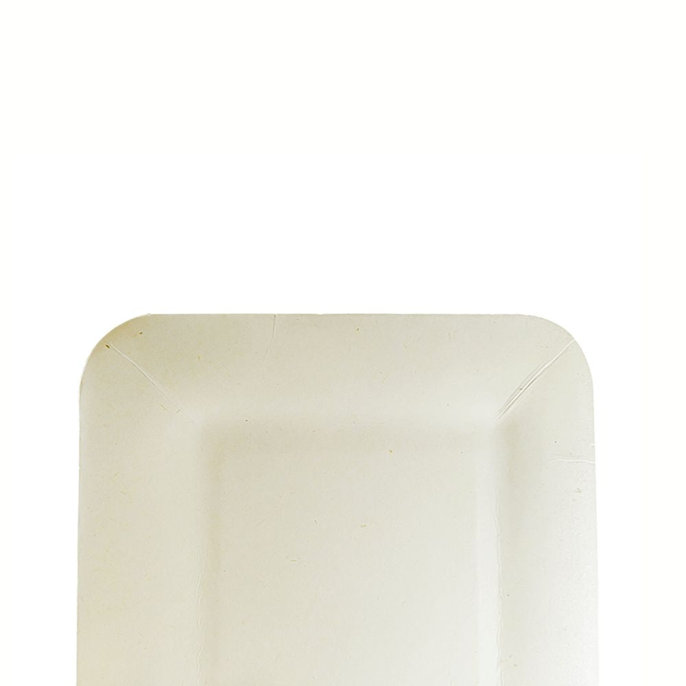 Plato rectangular de cartón Earth Pact con relieve | 21 cm x 13 cm